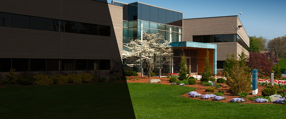 Lakeview Landscapers