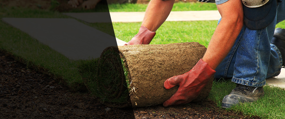 Lakeview Landscapers